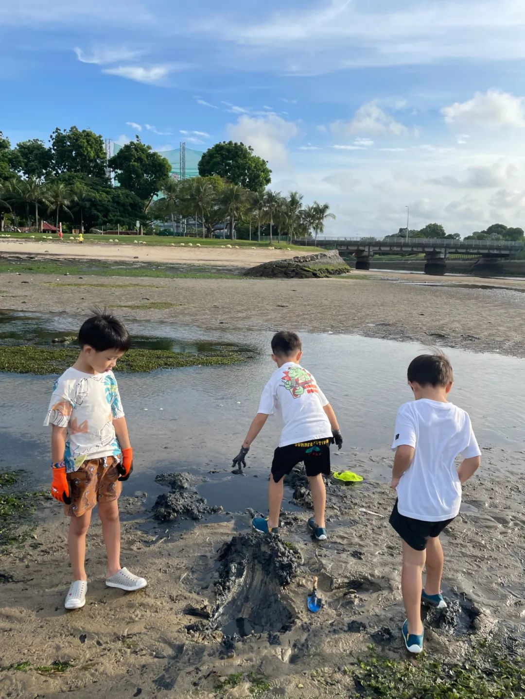 赶海被海胆刺到,赶海被海葵蜇伤