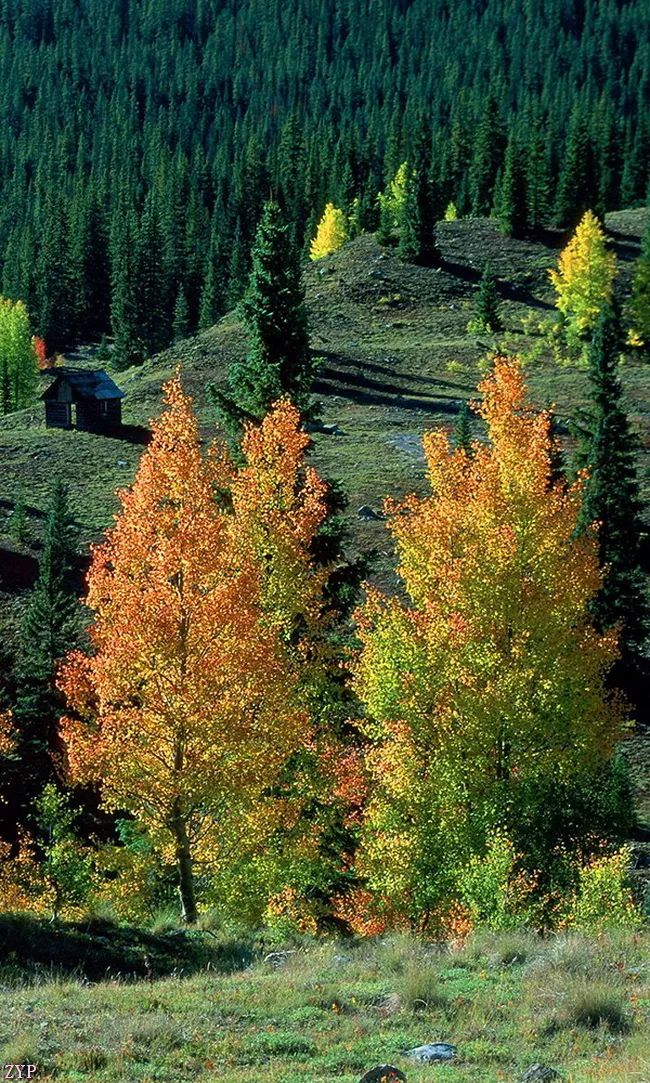 太美了100张人间美照,太美了最美中国红