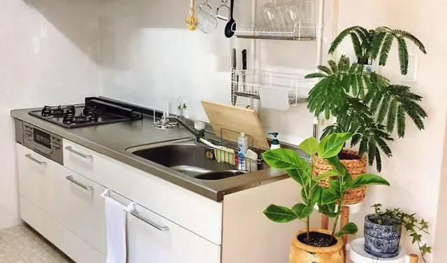 阳台顶部绿植氛围布置,绿植和吊灯氛围感