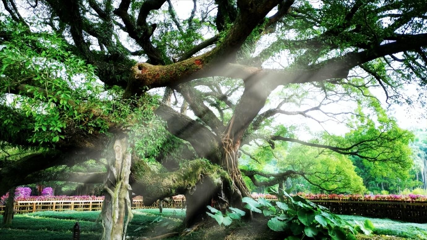 福建省福州市几个区,中国34个省级行政区域教学视频