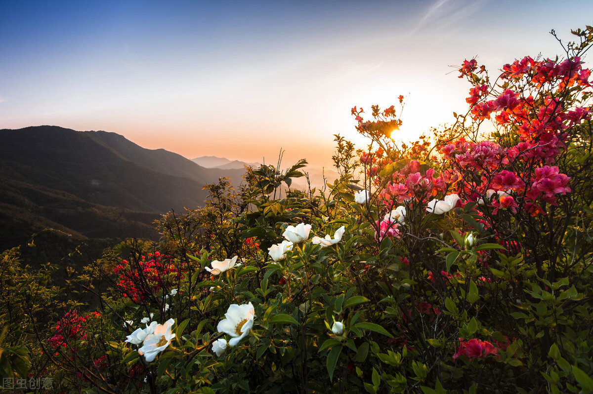 有关于万水千山总是情的古诗,万水千山总是情完整诗句