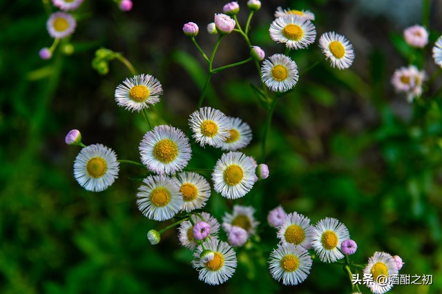 乡土小说：男欢女爱（八）
