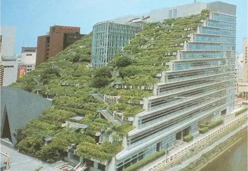 绿色屋顶在绿色建筑中的作用,温哥华典型建筑