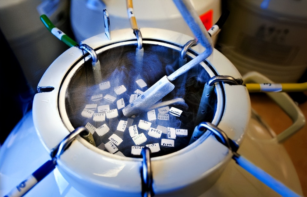 挽回情感的药物,丧失女性生育力的药