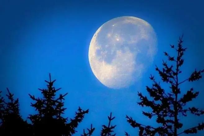 月亮唯美的诗句,月亮相关的优美诗句