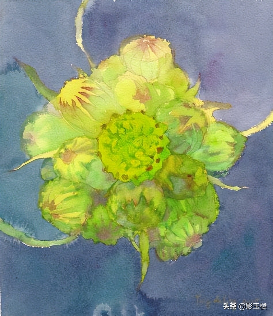 数字版画与数码版画,数码艺术照片设计与处理