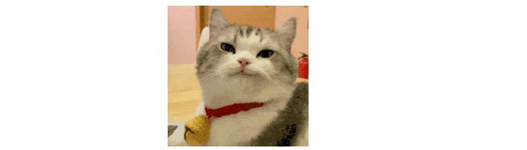 私募老总、中植系旧将聚首，ST开元绸缪二次重组