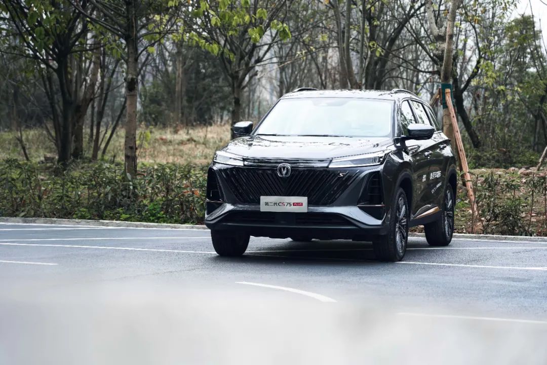 车的安全性看什么标准,验证新车注意什么