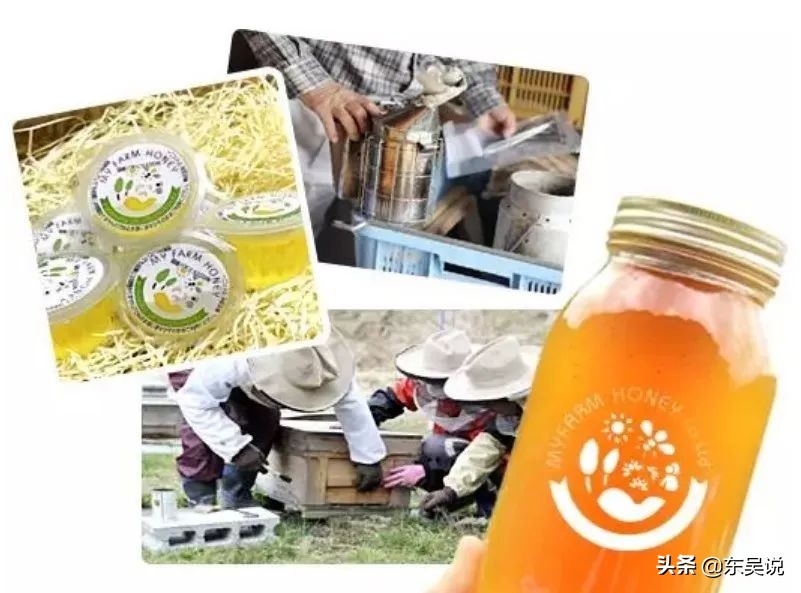 myfarm创新共享农业新模式,日本myfarm共享农场营销模式