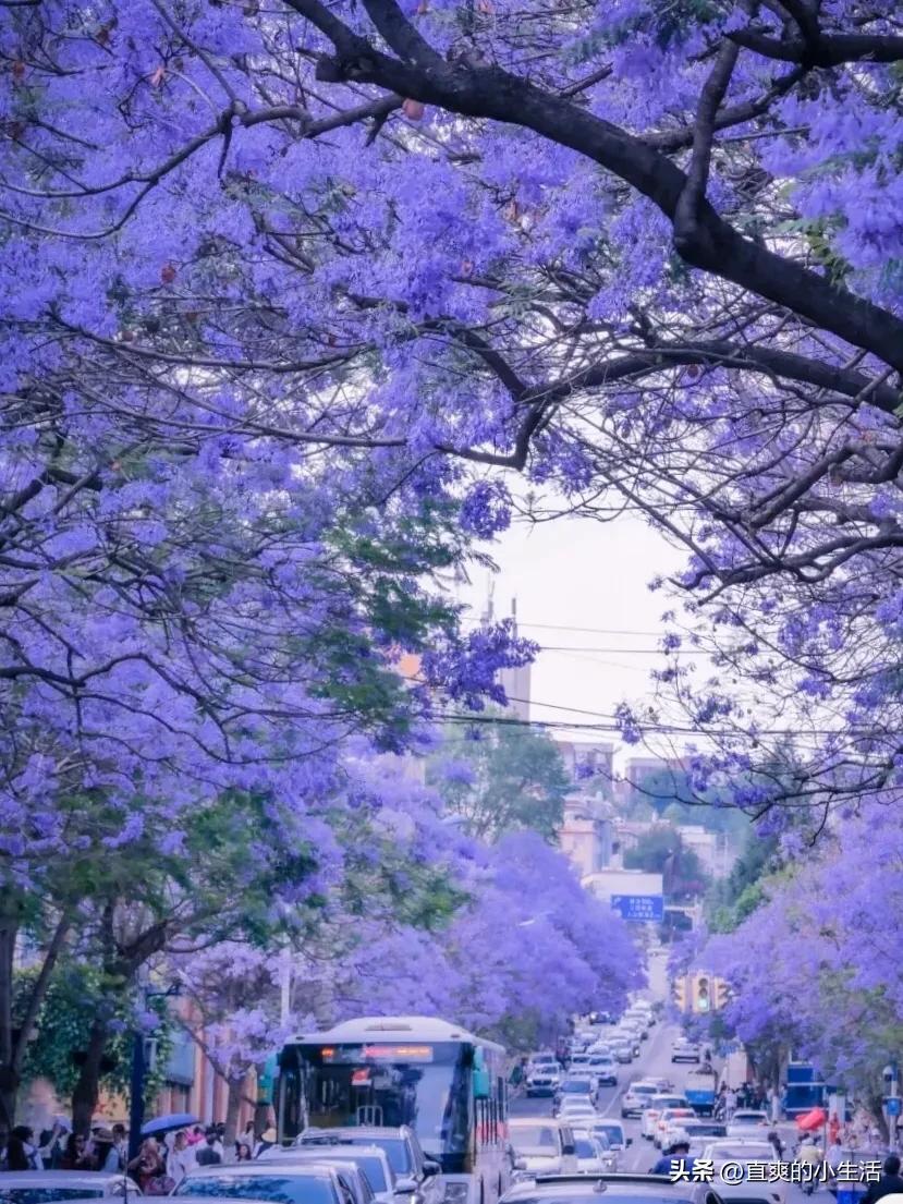 昆明作为中转站周边旅游攻略,昆明中转站的风景