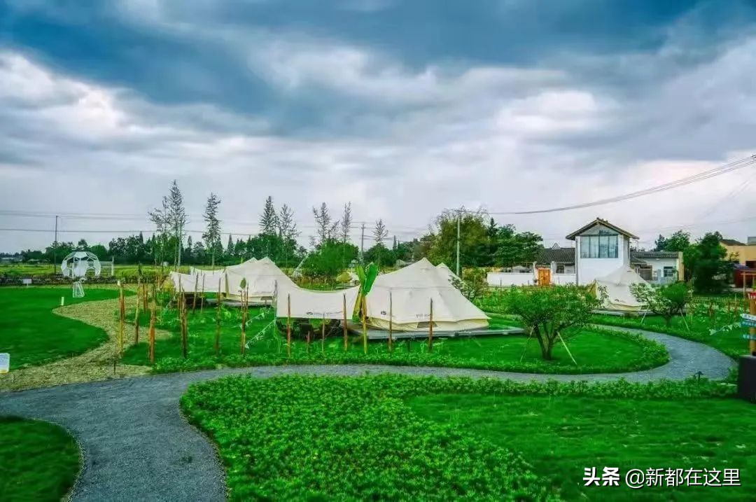 如果城市有颜色重庆,如果城市有颜色作文