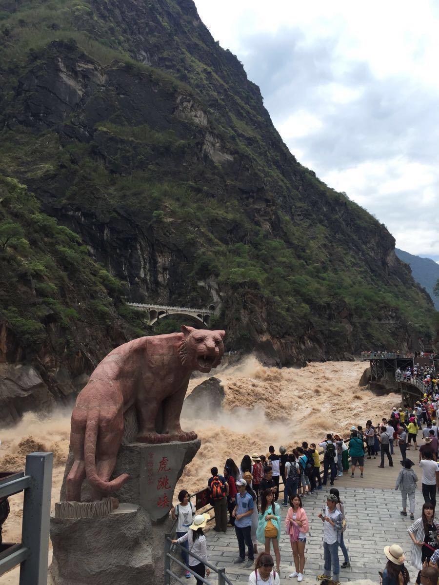 被人骗到云南旅游的亲身经历,虎跳峡一日游骗局