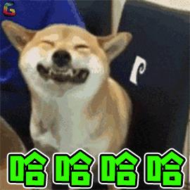 如何利用互联网+打造现代农业,现代化农业种植新模式