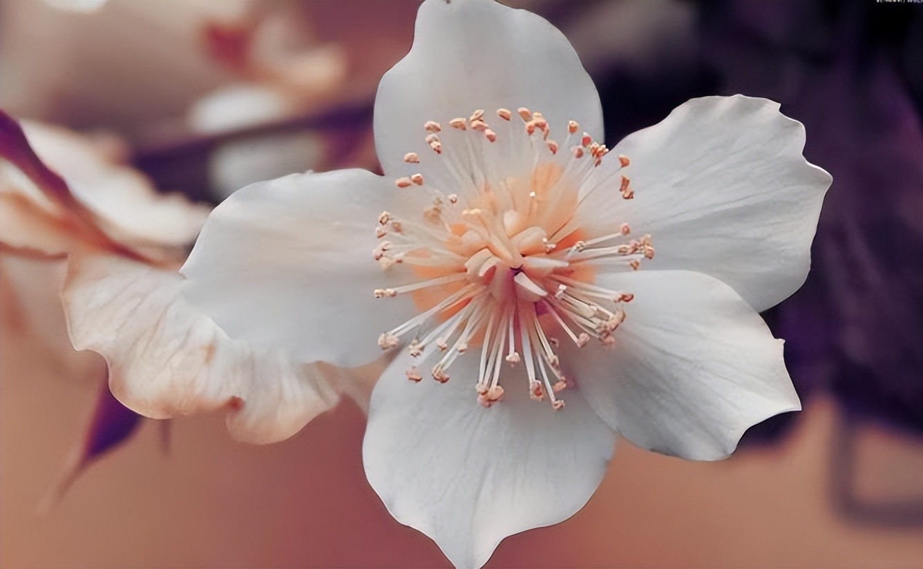 人过50三种礼就不要随了,人过40岁有些礼就不要随了