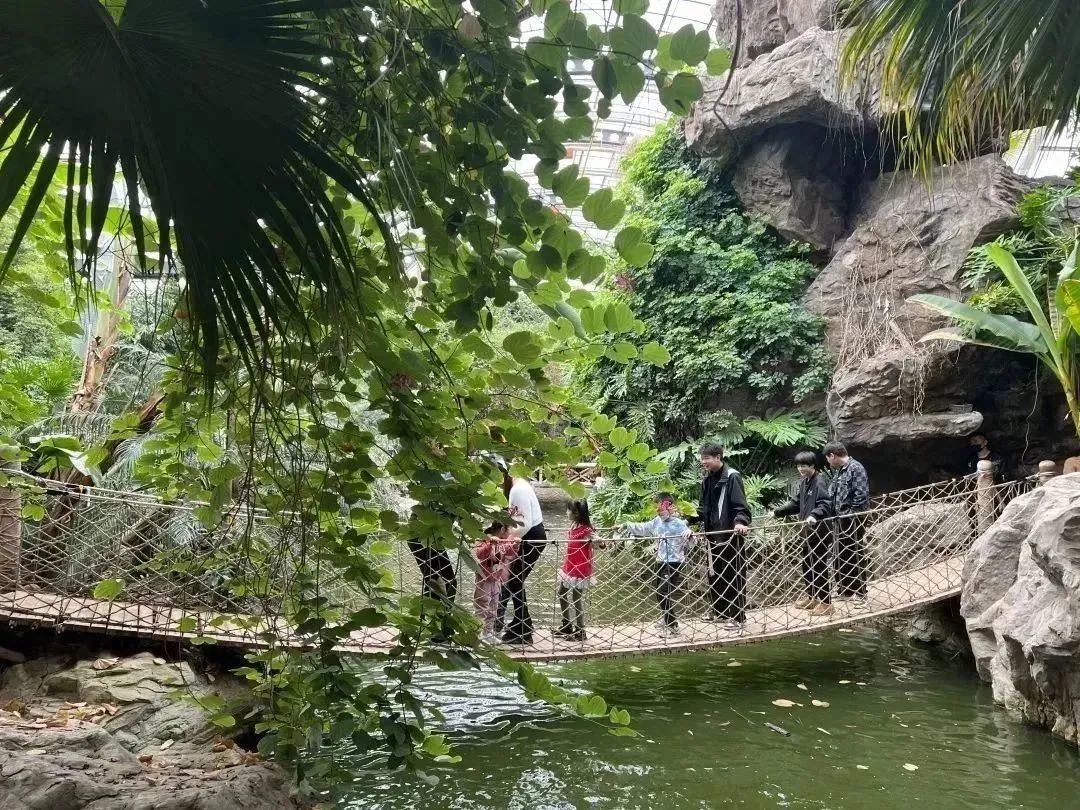 天津房车公园露营基地,一张天幕露营