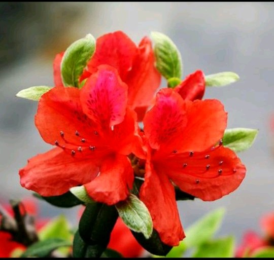 两口子三观不合是不是只能离婚,三观不合夫妻过得特别累