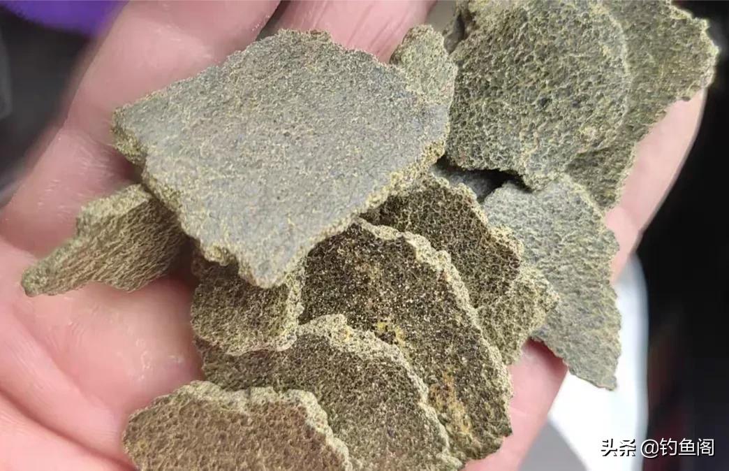 怎样用菜籽饼做钓饵,菜籽饼做饵料