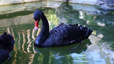 抓紧享受假期的尾巴,抓住假期小尾巴愉快的五一假期