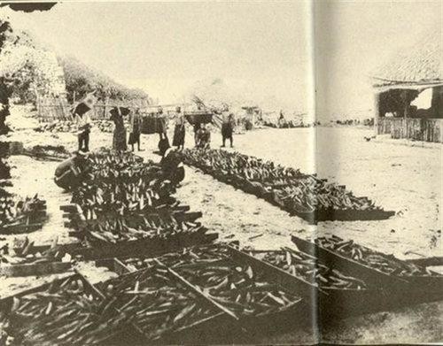 钓鱼岛有多大有多少人居住,中国最大的渔岛是哪里