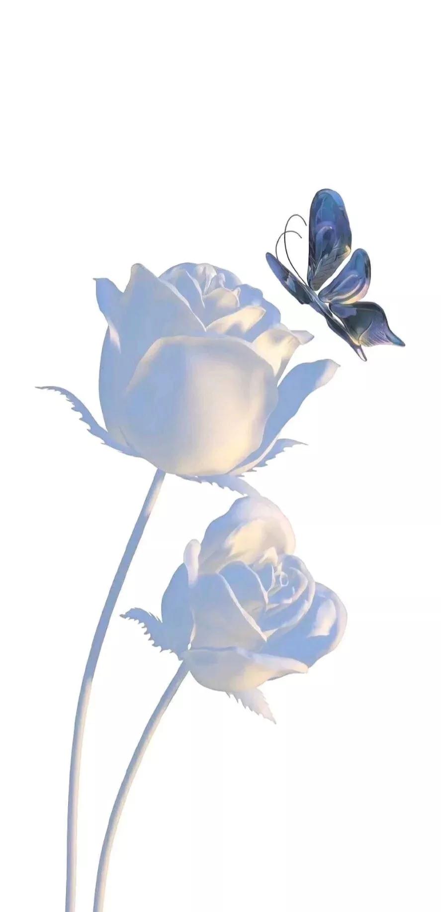 爱情文案浪漫暖心高级文案,建筑专业的浪漫文案