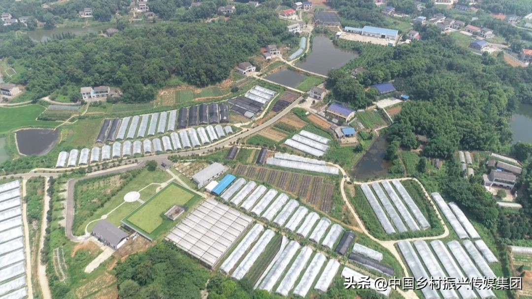 2023乡村振兴申报项目及补贴,振兴乡村国家有哪些资金扶持项目