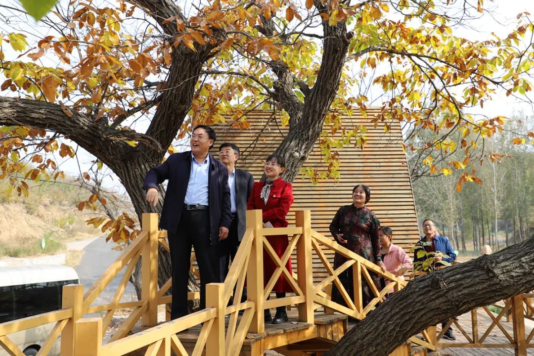 临朐县九山镇：“九”久为功“山”乡蝶变（朱林明）