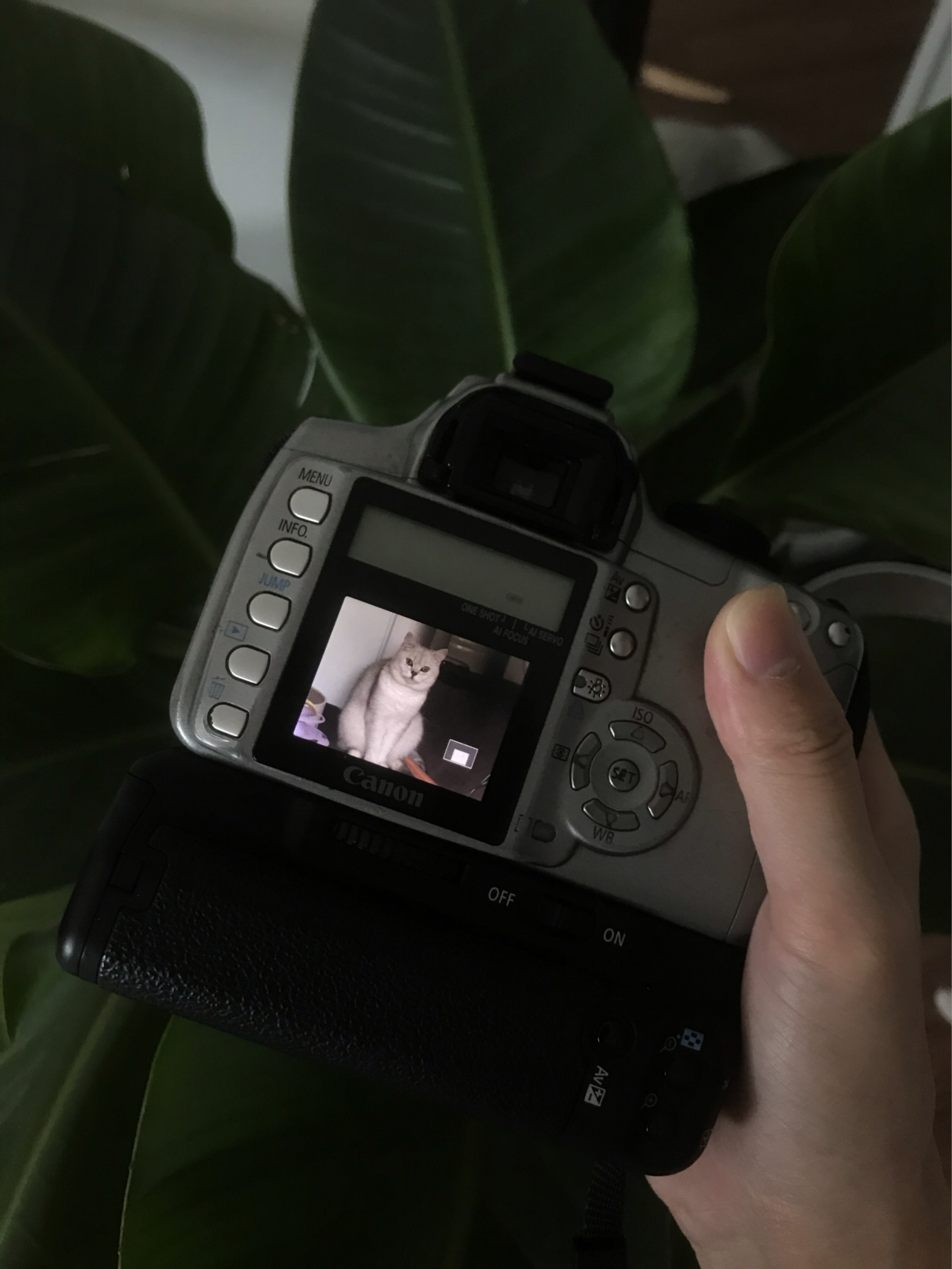 150左右的二手相机,佳能二手性价比高的单反相机