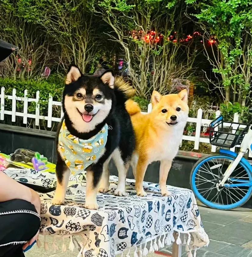 小众背景图朋友圈,干净小众背景图纯色