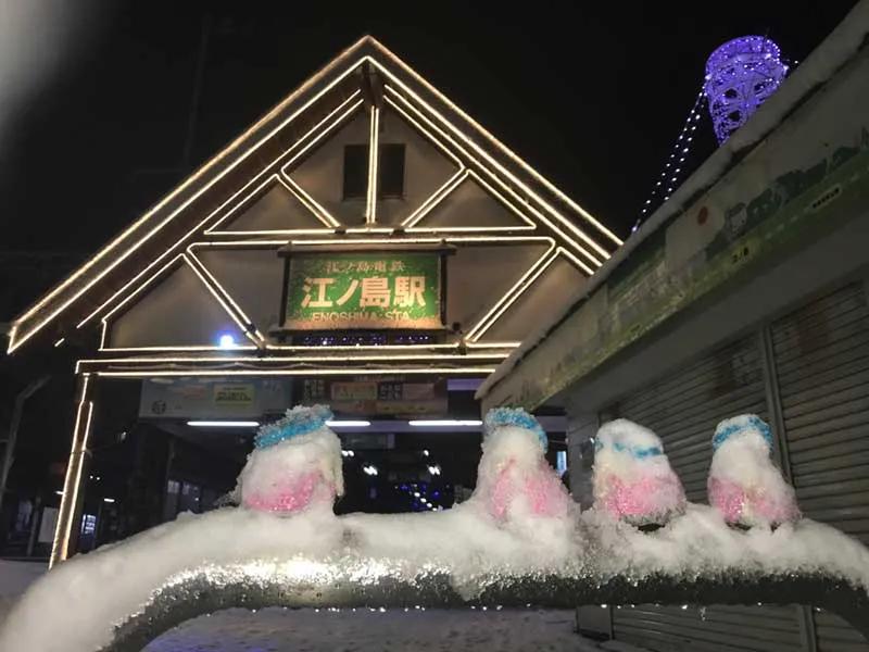 害怕小鸟受凉，有人悄悄为它们织了22年的毛衣