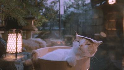 江浙沪泡温泉的地方一日游,江浙沪哪里泡温泉最好