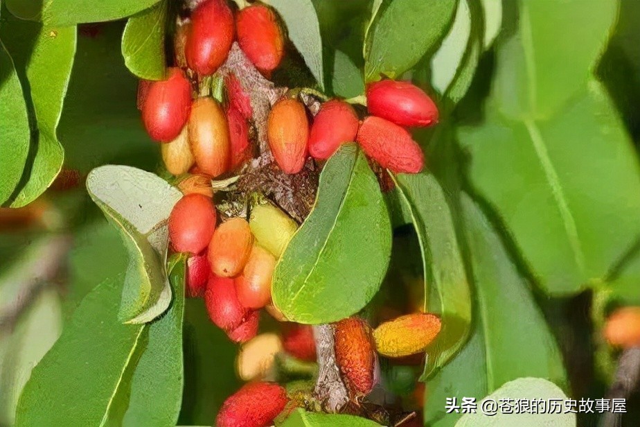 哥伦比亚毒枭电视剧,哥伦比亚毒枭的真实事件