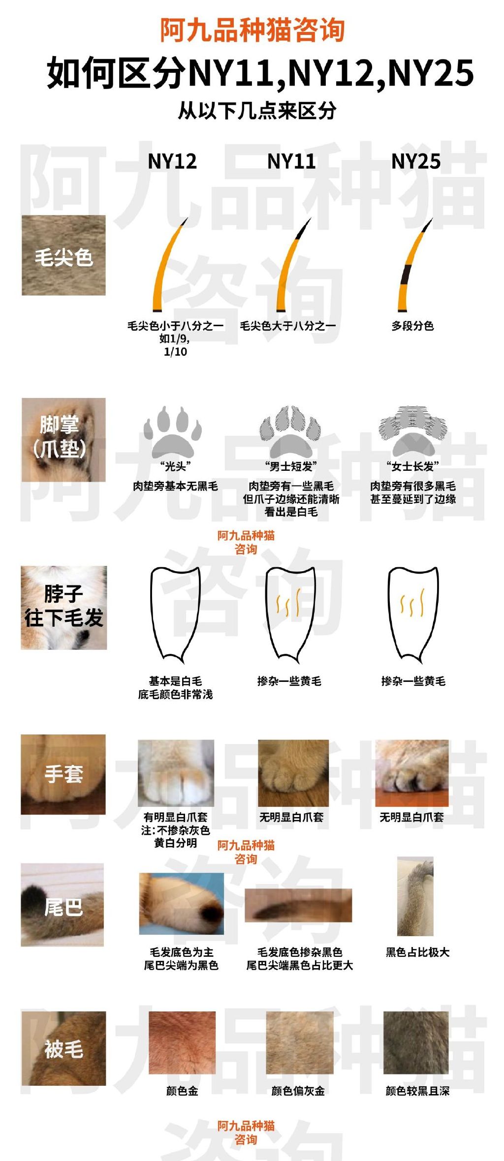 一篇文章搞懂,一篇文章让你彻底搞懂宏观