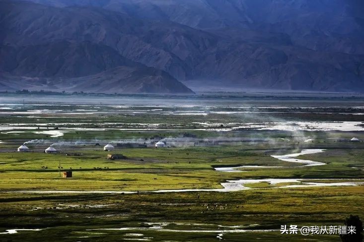 骑着牛叼羊的在*疆新**也就……