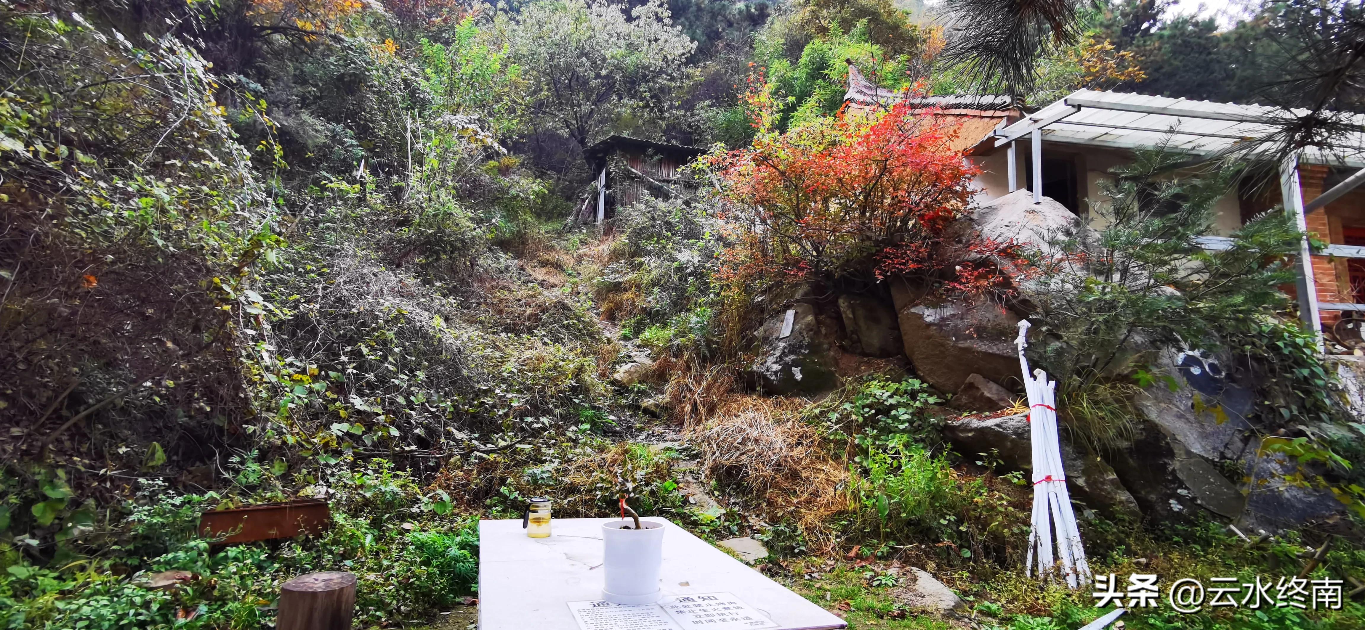 享个清福！到少有人知的峙峪看看漫山红叶，喝喝住山人清茶