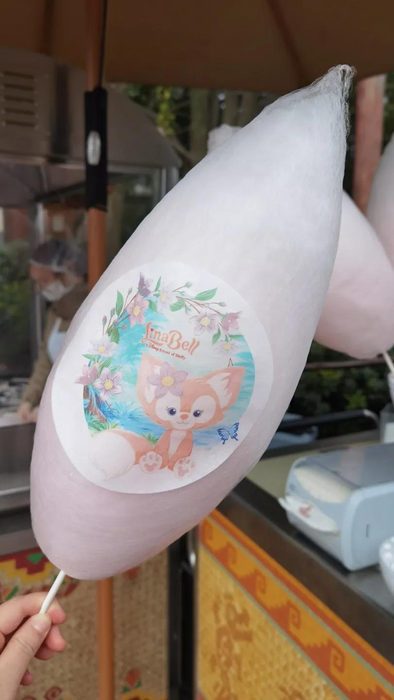 上海迪士尼乐园住宿哪家便宜,上海迪士尼乐园保姆级游玩攻略