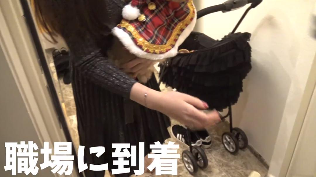 日本小哥同时被15个富婆*养包**，在镜头前唉声叹气：月入百万，很累