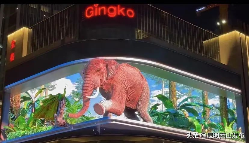 昆明周末打卡最多的网红地方,昆明1903公园最佳网红打卡地