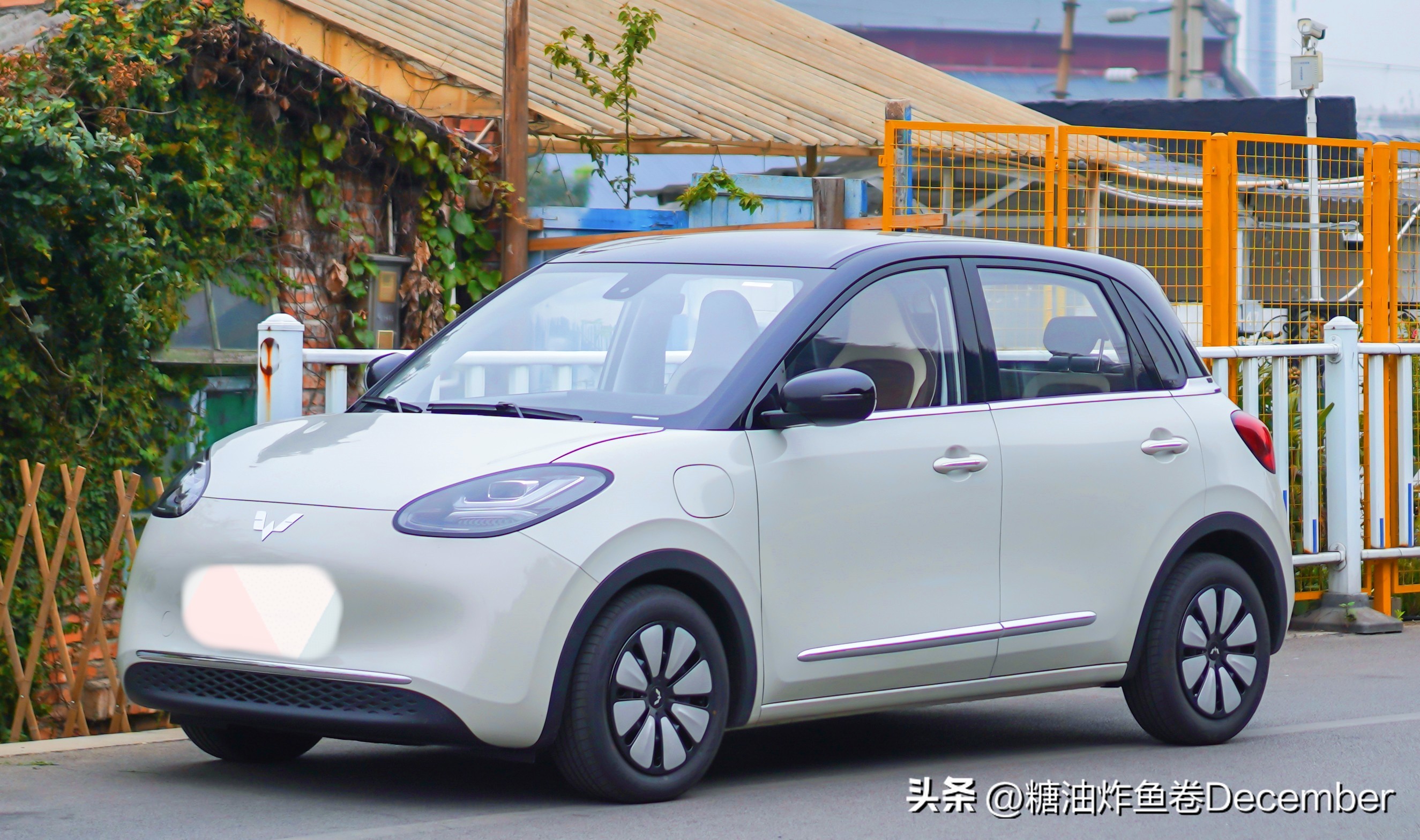 秘境之旅攻略,秘境之旅完整版视频