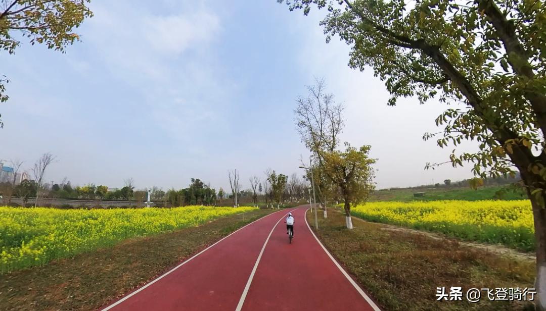 成都绕城绿道-百公里环城绿道骑行攻略全面详细讲解,4月6日更新