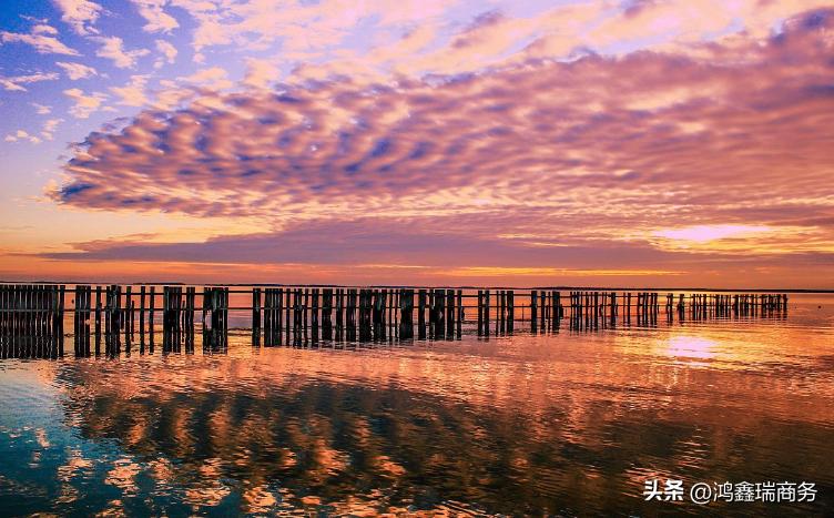 离岸公司年审哪种效果好,注册离岸公司年审费用