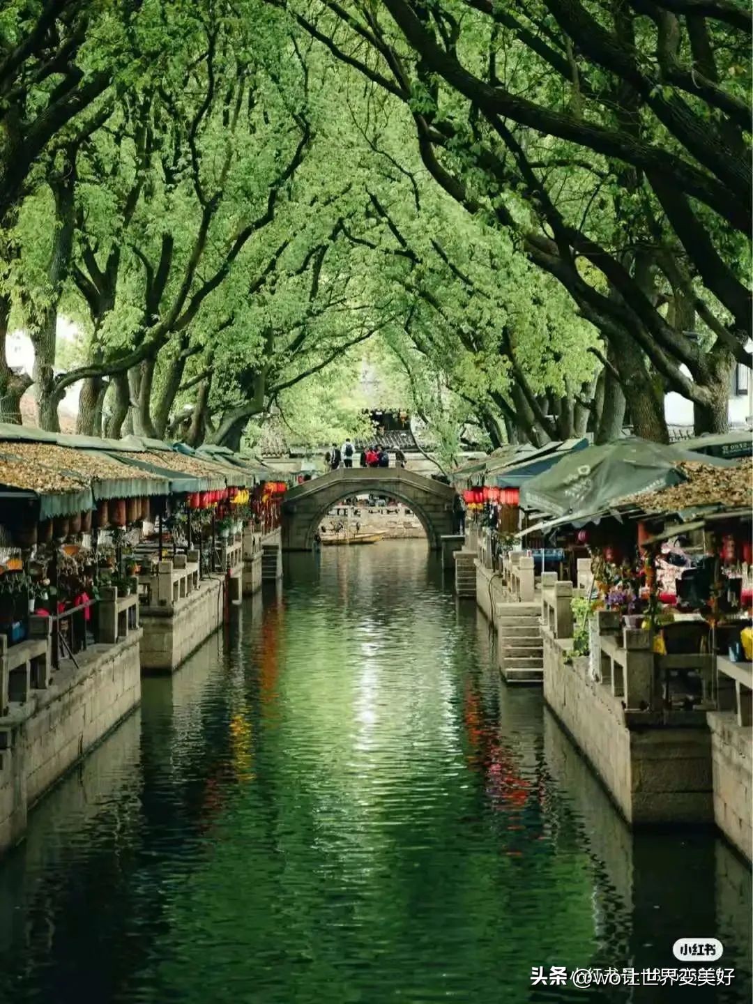 周庄画家村农家乐多少钱,周庄景区附近有农家乐