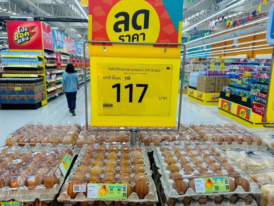 一对年轻夫妇在国外买房,一对英国夫妇靠100套房子收租