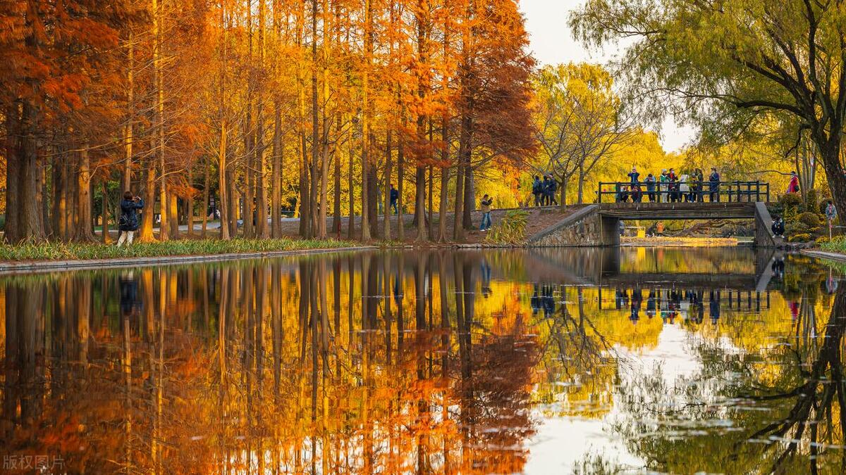 大自然的怀抱最美妙,大自然的怀抱的视频