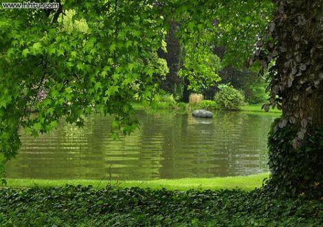 美女屏保动态壁纸高清唯美,50张顶级绝美图片动态壁纸