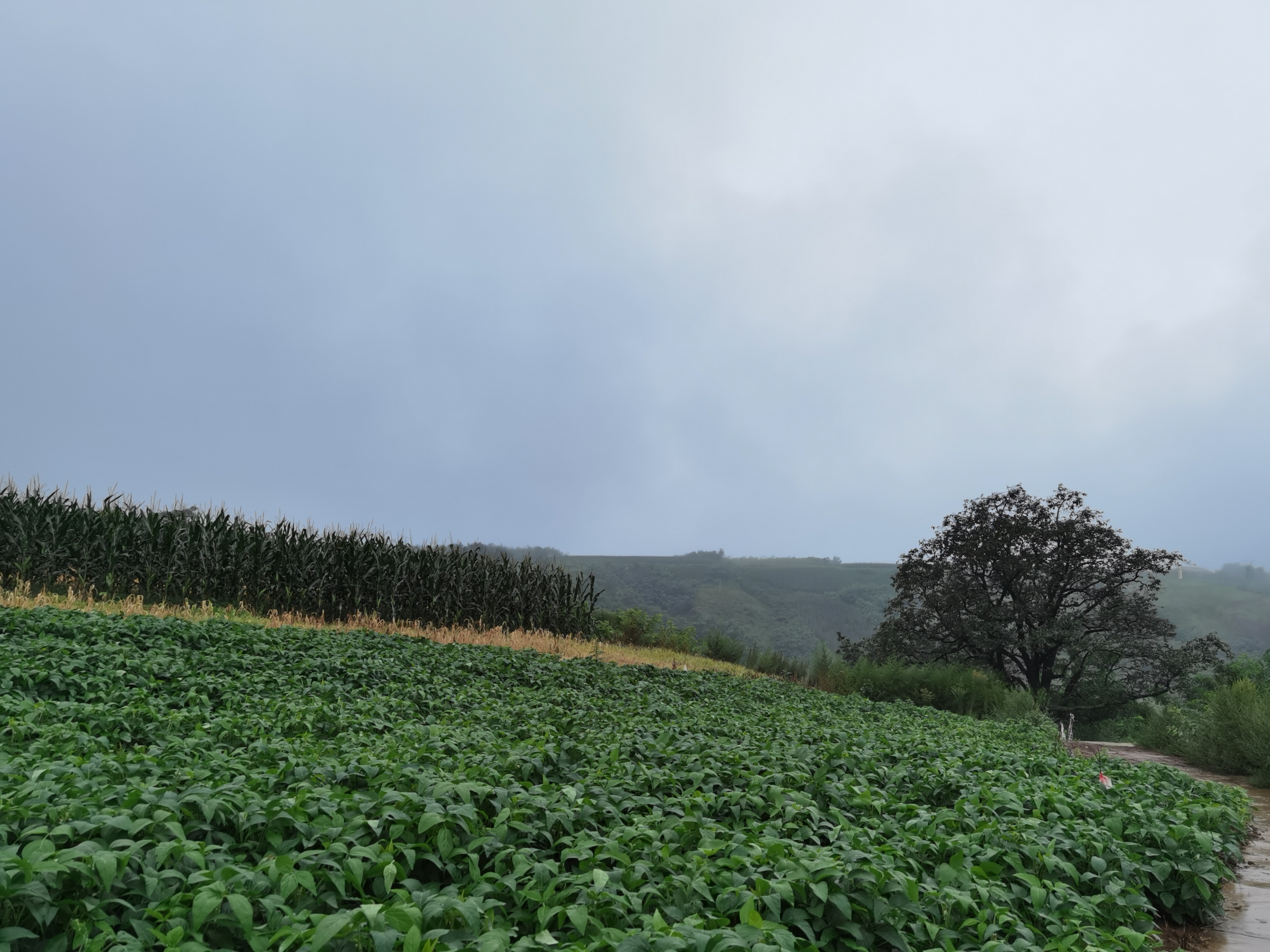 孔明：北沟这条路