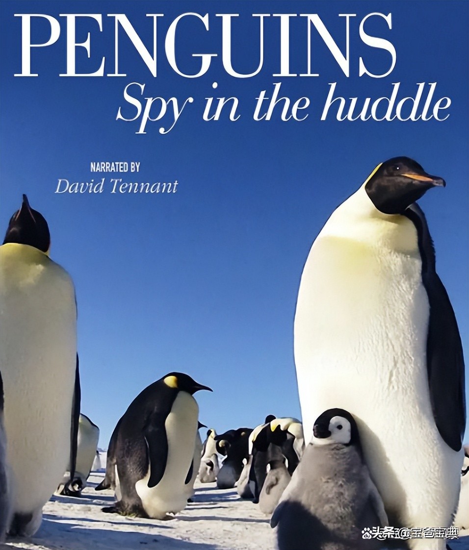 地理类十大高分纪录片,9部初中生必看的地理纪录片