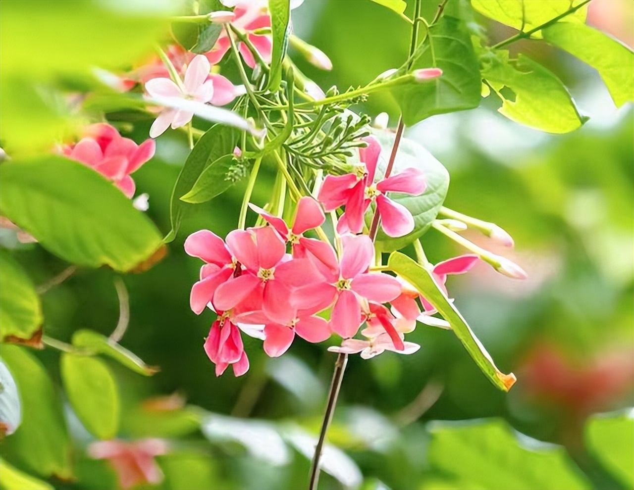 暧昧后说做朋友的都是烂人,和暧昧过的人不可以再联系