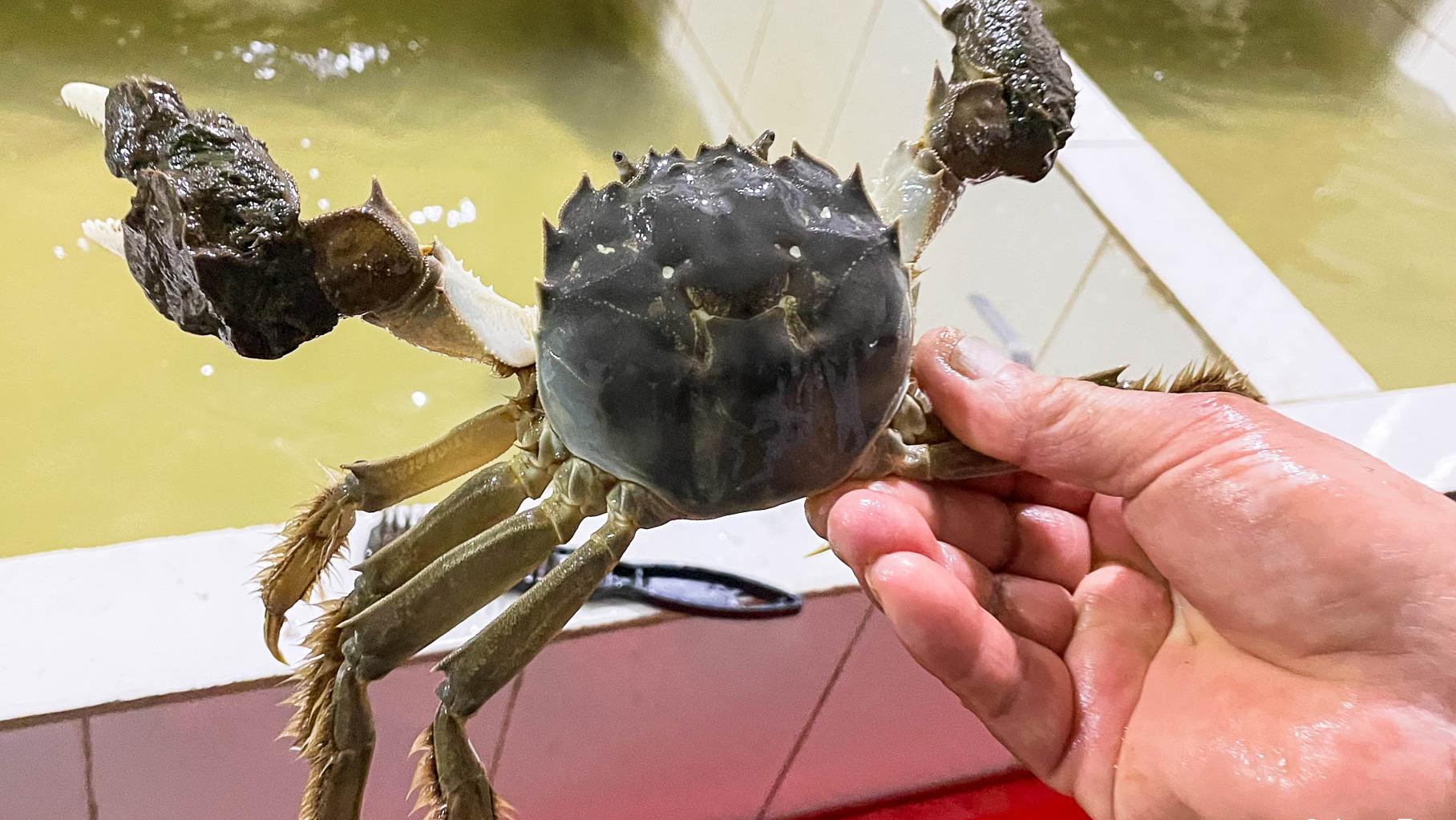 阳澄湖大闸蟹凭什么卖那么贵,阳澄湖每年能产多少只大闸蟹