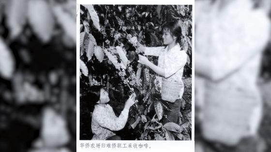 点进来，了解爱上兴隆“歌碧欧”的N个理由～