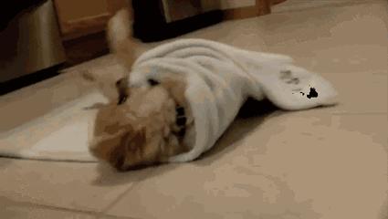 夫妻性腹痛是什么原因,每次发生性腹痛是什么原因